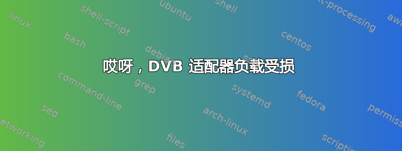 哎呀，DVB 适配器负载受损