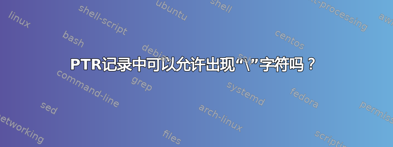 PTR记录中可以允许出现“\”字符吗？