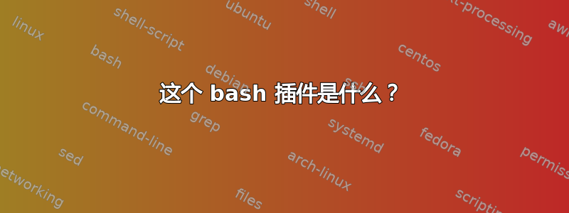 这个 bash 插件是什么？