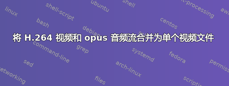 将 H.264 视频和 opus 音频流合并为单个视频文件