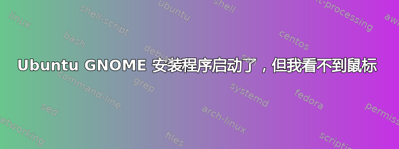 Ubuntu GNOME 安装程序启动了，但我看不到鼠标