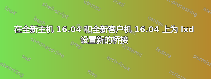 在全新主机 16.04 和全新客户机 16.04 上为 lxd 设置新的桥接