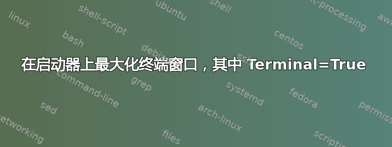 在启动器上最大化终端窗口，其中 Terminal=True