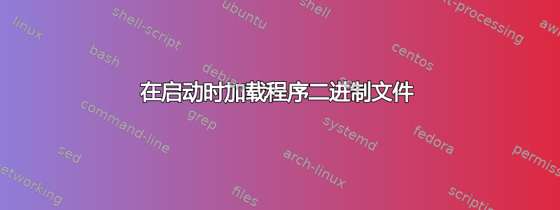 在启动时加载程序二进制文件