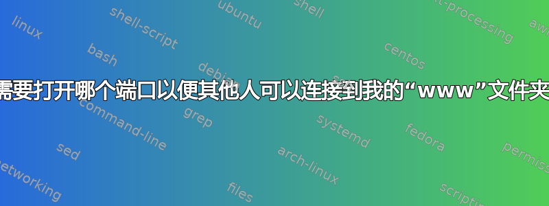 我需要打开哪个端口以便其他人可以连接到我的“www”文件夹？