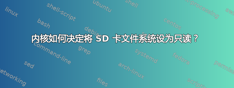 内核如何决定将 SD 卡文件系统设为只读？