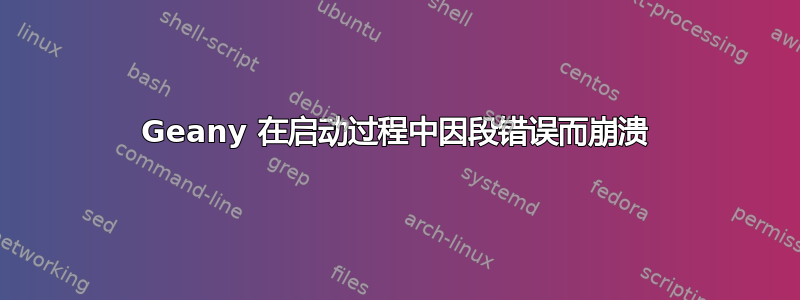 Geany 在启动过程中因段错误而崩溃