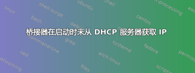 桥接器在启动时未从 DHCP 服务器获取 IP