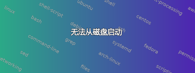 无法从磁盘启动