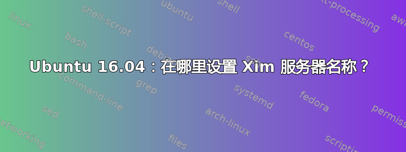 Ubuntu 16.04：在哪里设置 Xim 服务器名称？