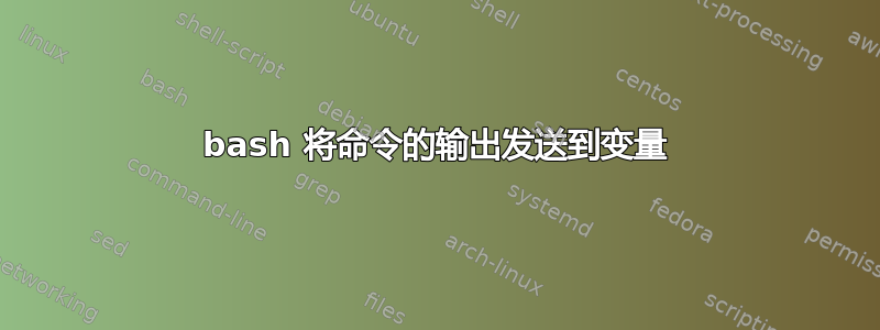 bash 将命令的输出发送到变量