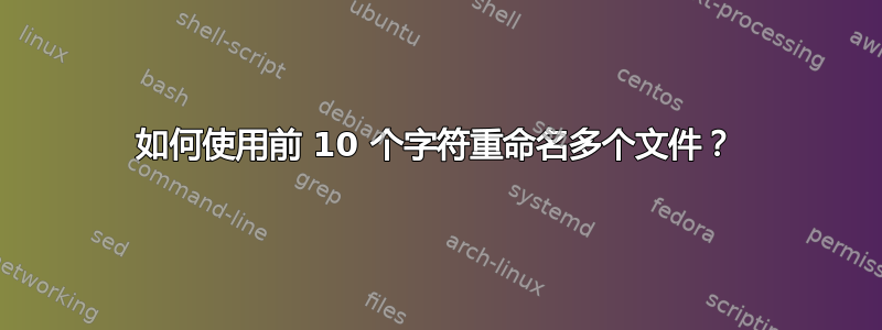 如何使用前 10 个字符重命名多个文件？