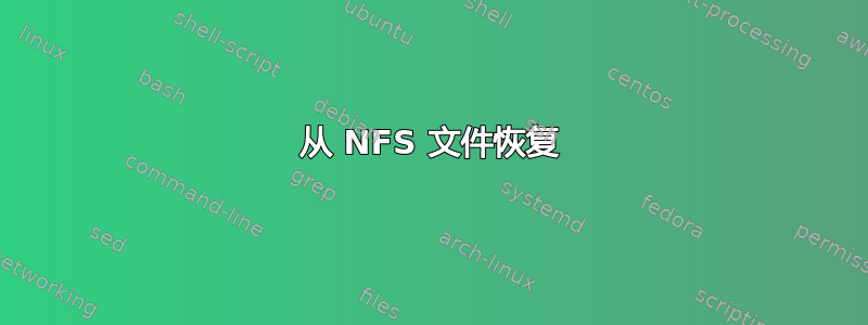 从 NFS 文件恢复