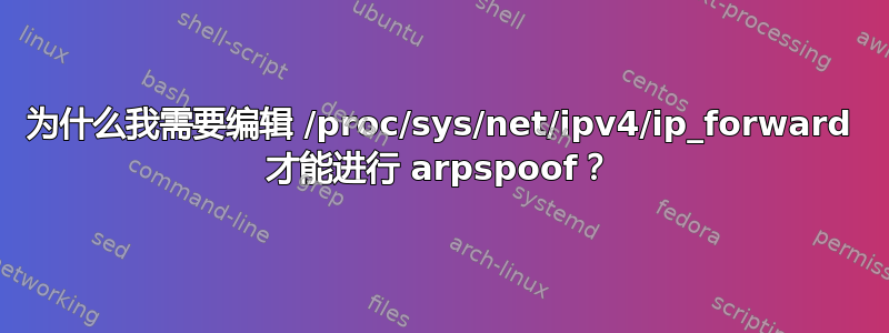 为什么我需要编辑 /proc/sys/net/ipv4/ip_forward 才能进行 arpspoof？