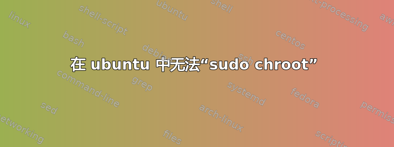 在 ubuntu 中无法“sudo chroot”