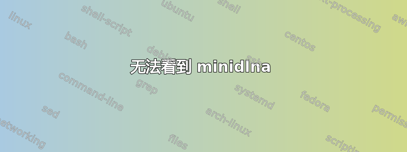 无法看到 minidlna