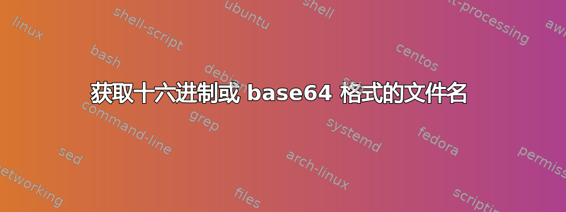 获取十六进制或 base64 格式的文件名