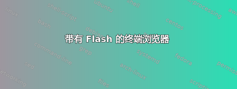 带有 Flash 的终端浏览器