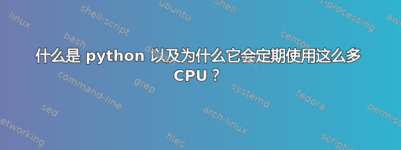 什么是 python 以及为什么它会定期使用这么多 CPU？