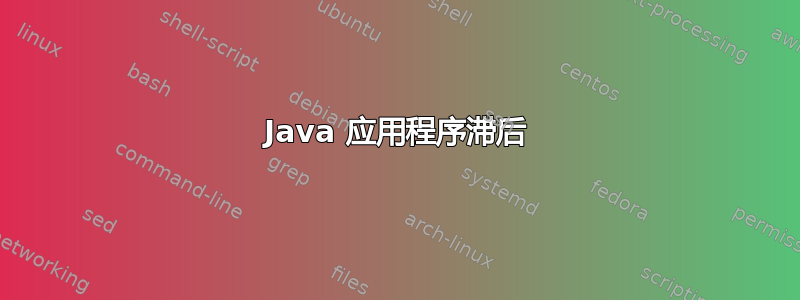 Java 应用程序滞后