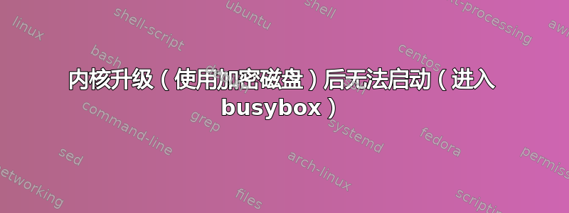 内核升级（使用加密磁盘）后无法启动（进入 busybox）