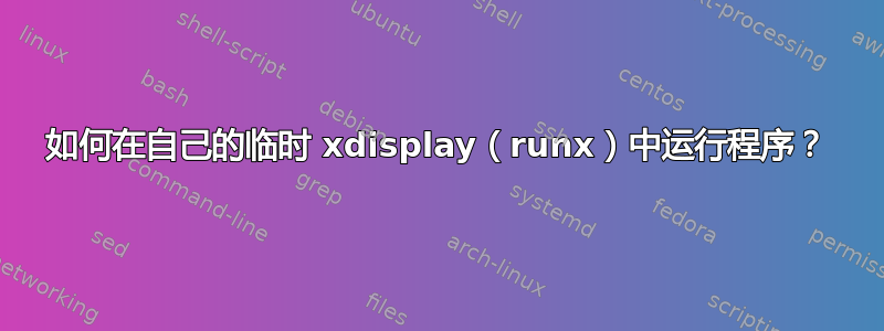 如何在自己的临时 xdisplay（runx）中运行程序？