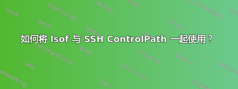 如何将 lsof 与 SSH ControlPath 一起使用？