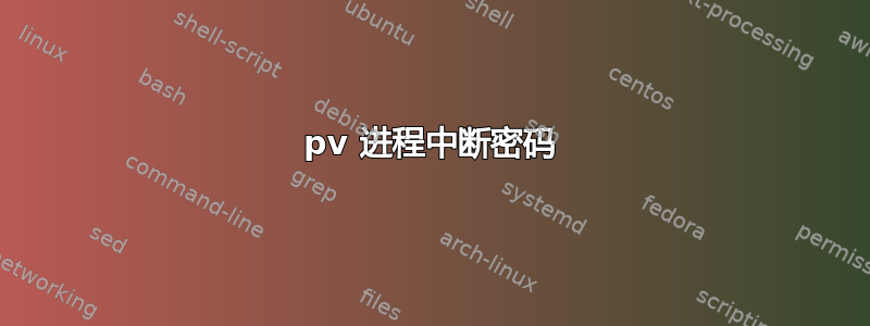 pv 进程中断密码