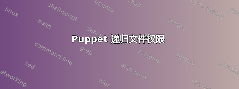 Puppet 递归文件权限