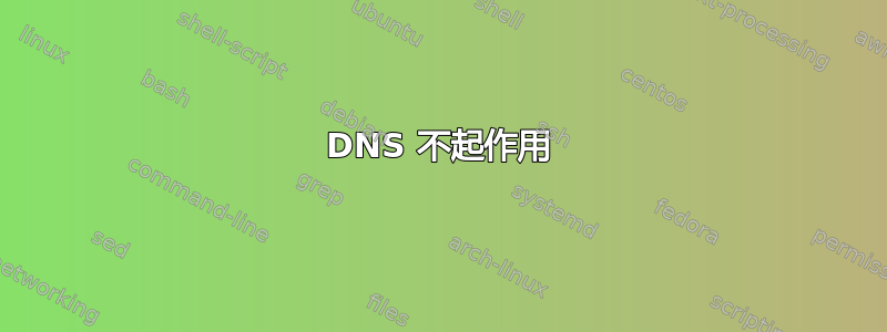 DNS 不起作用