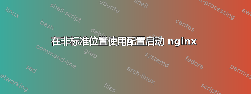 在非标准位置使用配置启动 nginx