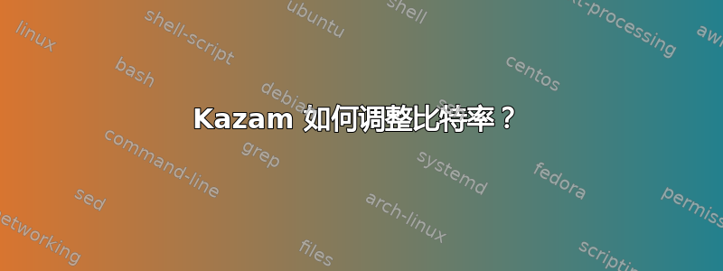 Kazam 如何调整比特率？