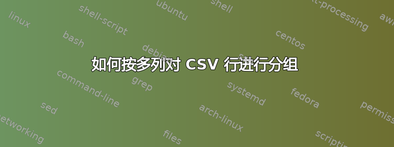 如何按多列对 CSV 行进行分组