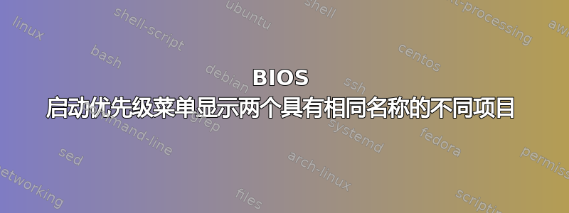 BIOS 启动优先级菜单显示两个具有相同名称的不同项目