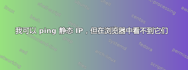 我可以 ping 静态 IP，但在浏览器中看不到它们 