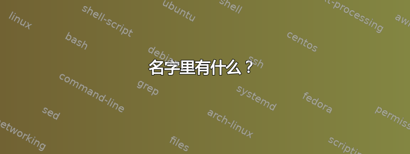 名字里有什么？