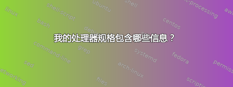 我的处理器规格包含哪些信息？