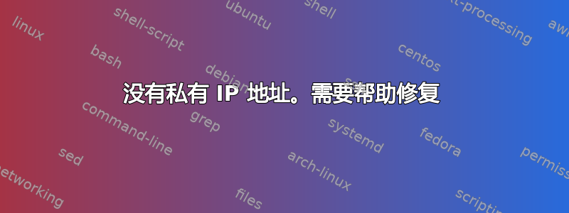 没有私有 IP 地址。需要帮助修复