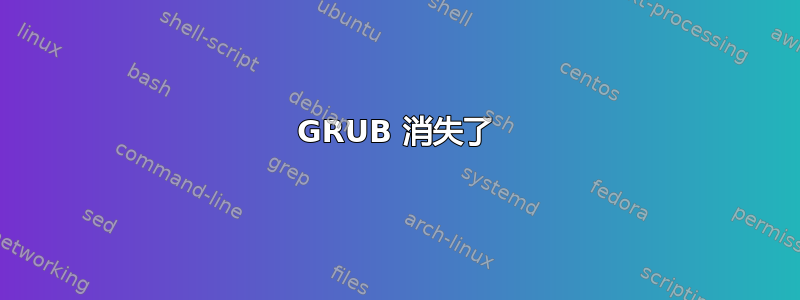 GRUB 消失了