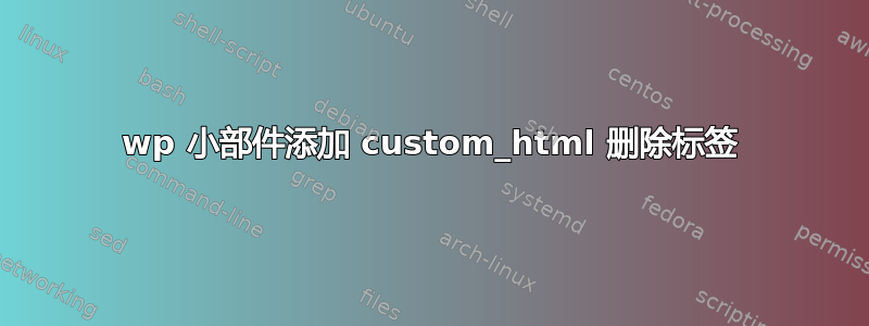 wp 小部件添加 custom_html 删除标签