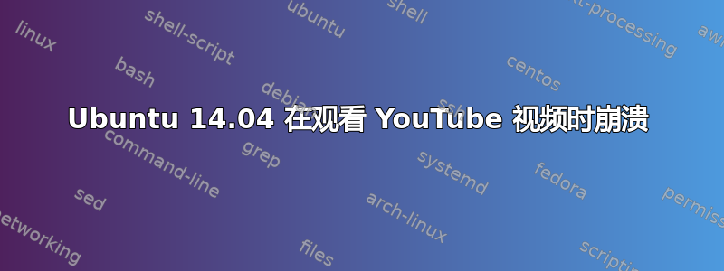 Ubuntu 14.04 在观看 YouTube 视频时崩溃