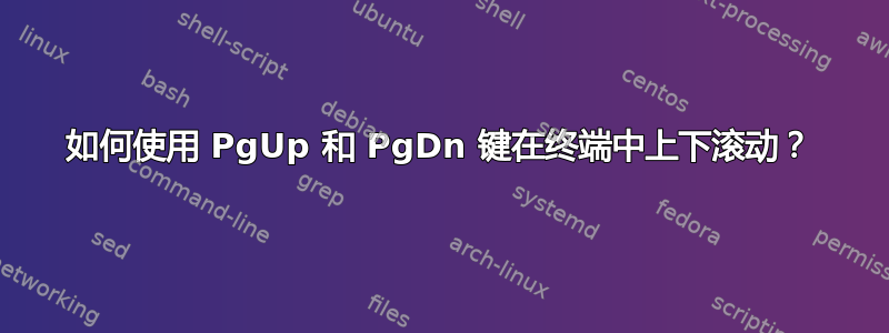 如何使用 PgUp 和 PgDn 键在终端中上下滚动？