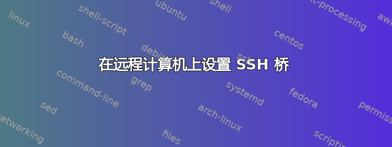 在远程计算机上设置 SSH 桥