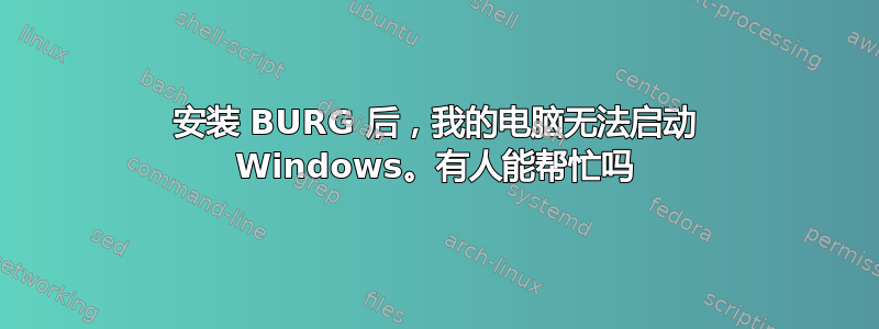 安装 BURG 后，我的电脑无法启动 Windows。有人能帮忙吗