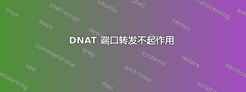 DNAT 端口转发不起作用