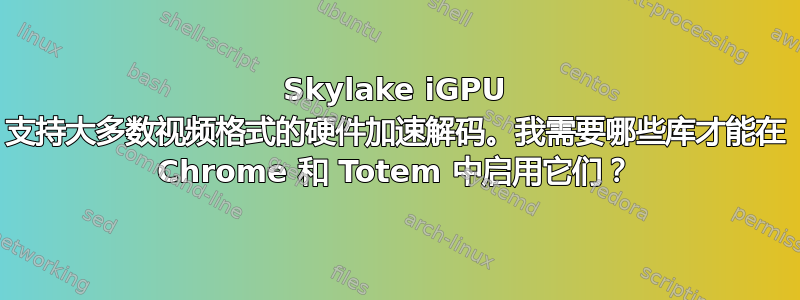 Skylake iGPU 支持大多数视频格式的硬件加速解码。我需要哪些库才能在 Chrome 和 Totem 中启用它们？