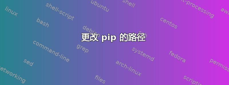 更改 pip 的路径