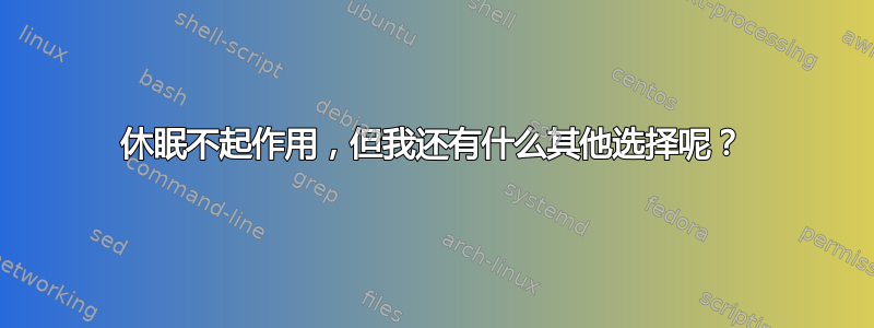 休眠不起作用，但我还有什么其他选择呢？