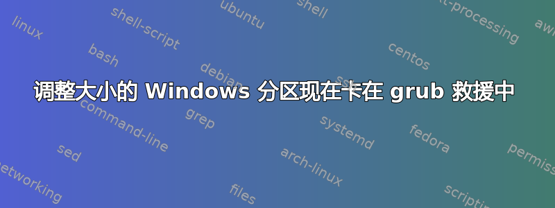 调整大小的 Windows 分区现在卡在 grub 救援中