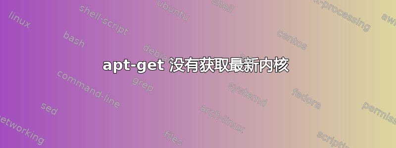 apt-get 没有获取最新内核